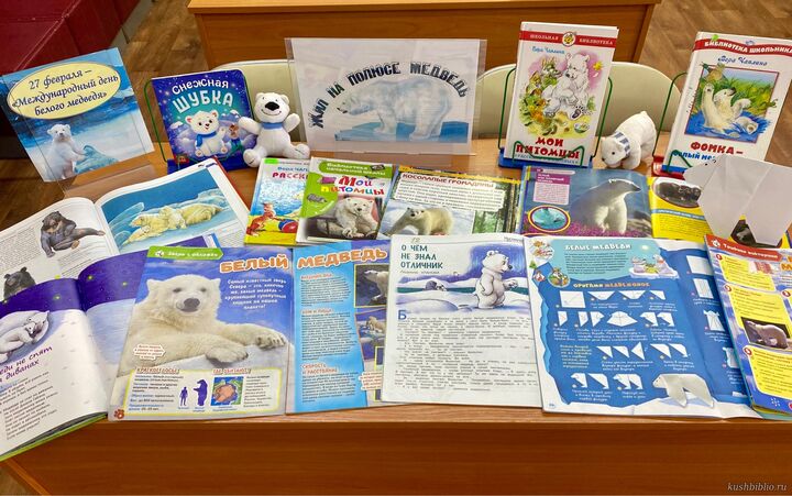 Жил на полюсе медведь