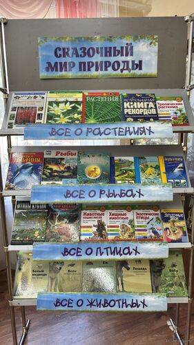 Сказочный мир природы