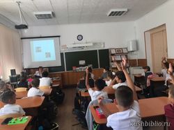 «То ли правда, то ли нет?»: викторина