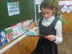 «Зимняя феерия»: новогоднее ассорти